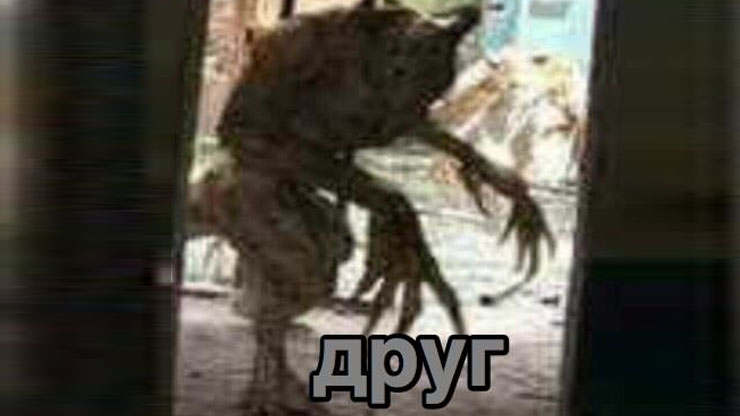 apyrrr